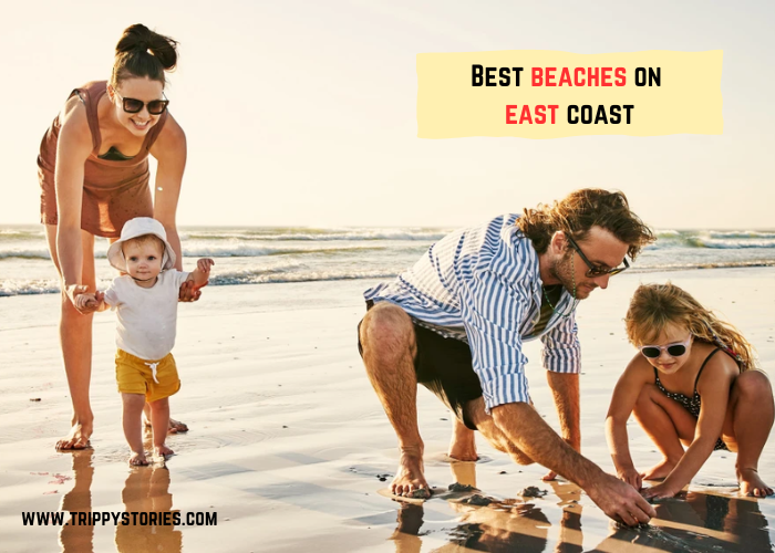 Best Beaches on the East Coast to Visit