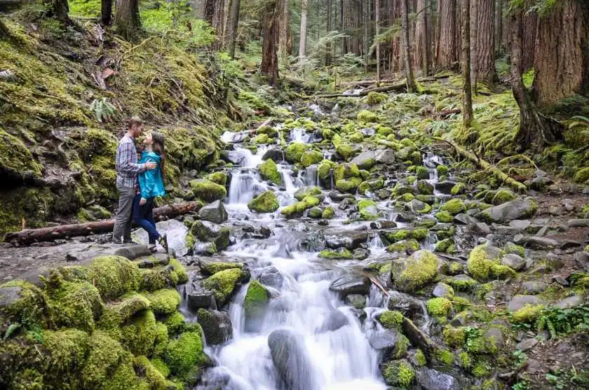 Adventurous Things to do in Olympic National Park