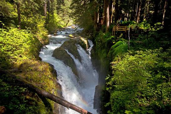 Adventurous Things to do in Olympic National Park